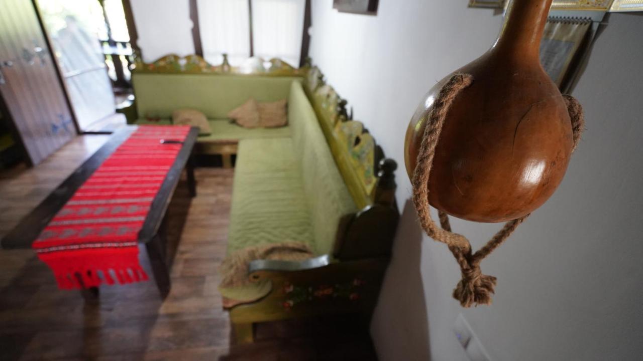 Pensiunea Yogi Dunavăţu de Jos 外观 照片