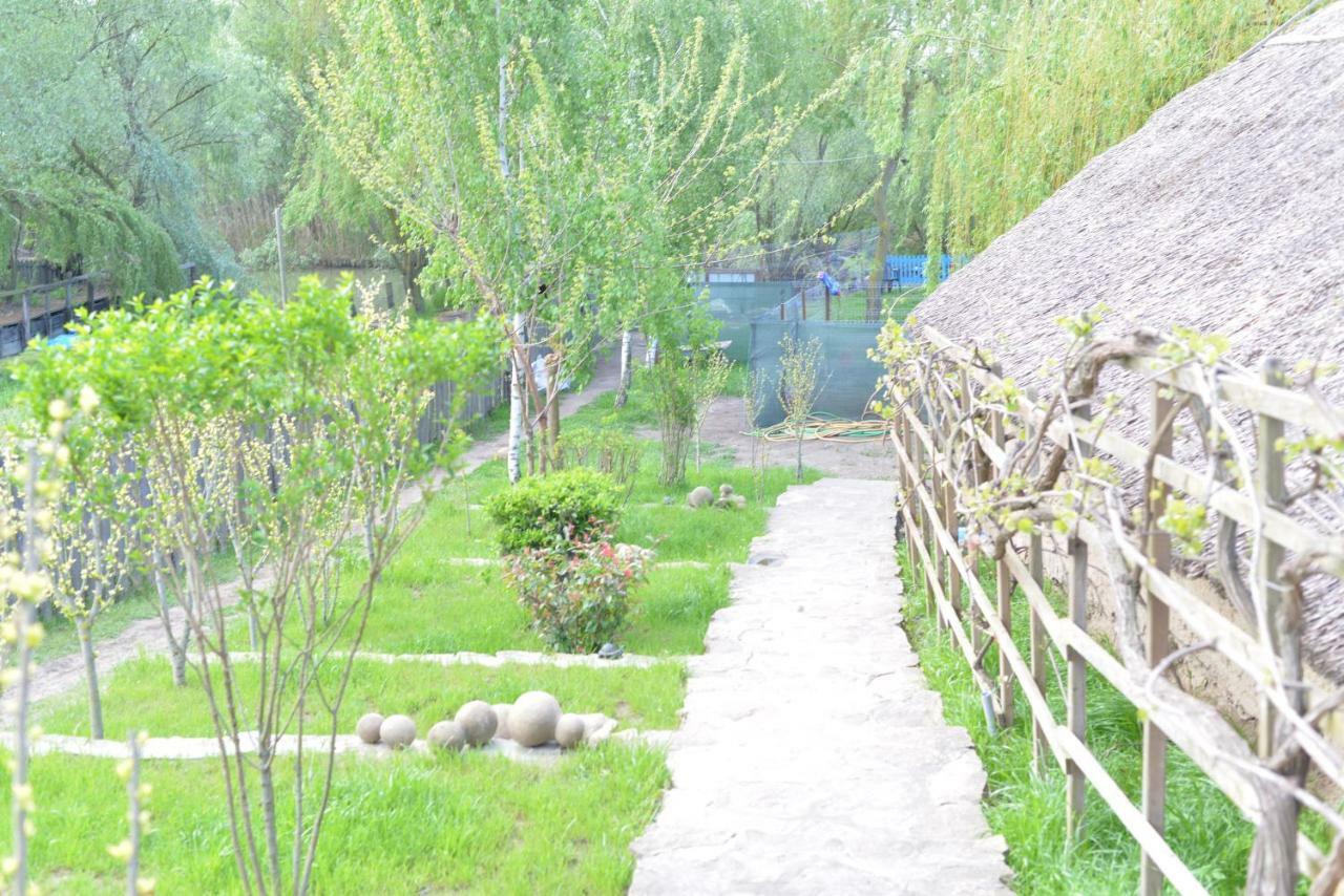 Pensiunea Yogi Dunavăţu de Jos 外观 照片